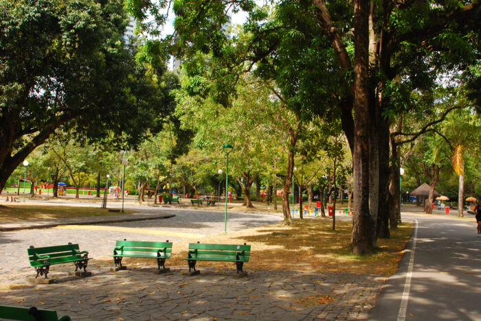Voo ida e volta – Recife Pernambuco - Image 14