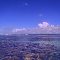 Passagem aérea | Maceió - Alagoas - Image 9