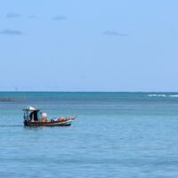 Passagem aérea | Maceió - Alagoas - Image 5