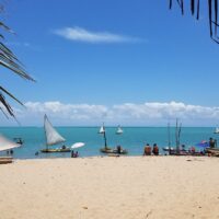 Passagem aérea | Maceió - Alagoas - Image 7