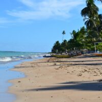 Passagem aérea | Maceió - Alagoas - Image 6