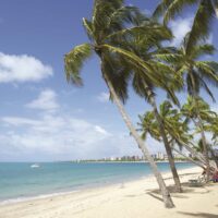 Passagem aérea | Maceió - Alagoas - Image 3